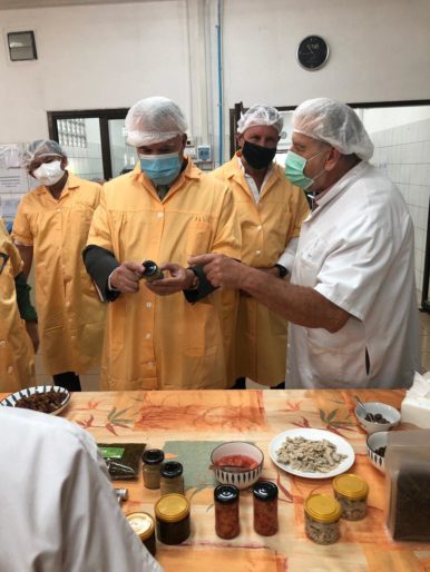 Visit of our facilities